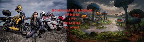 ECSTASY Россошь