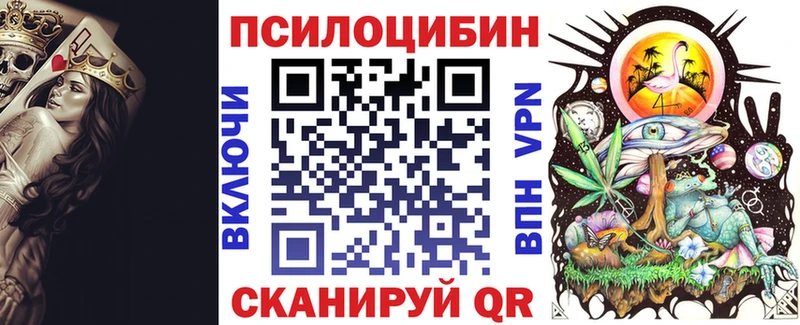 Псилоцибиновые грибы Psilocybe Байкальск