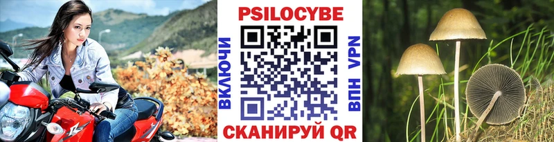 hydra   Байкальск  Псилоцибиновые грибы прущие грибы 